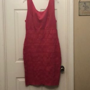 Ladies fitted pink dress